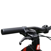 29-Zoll Mountainbike Element – schwarz/rot – Bild 6